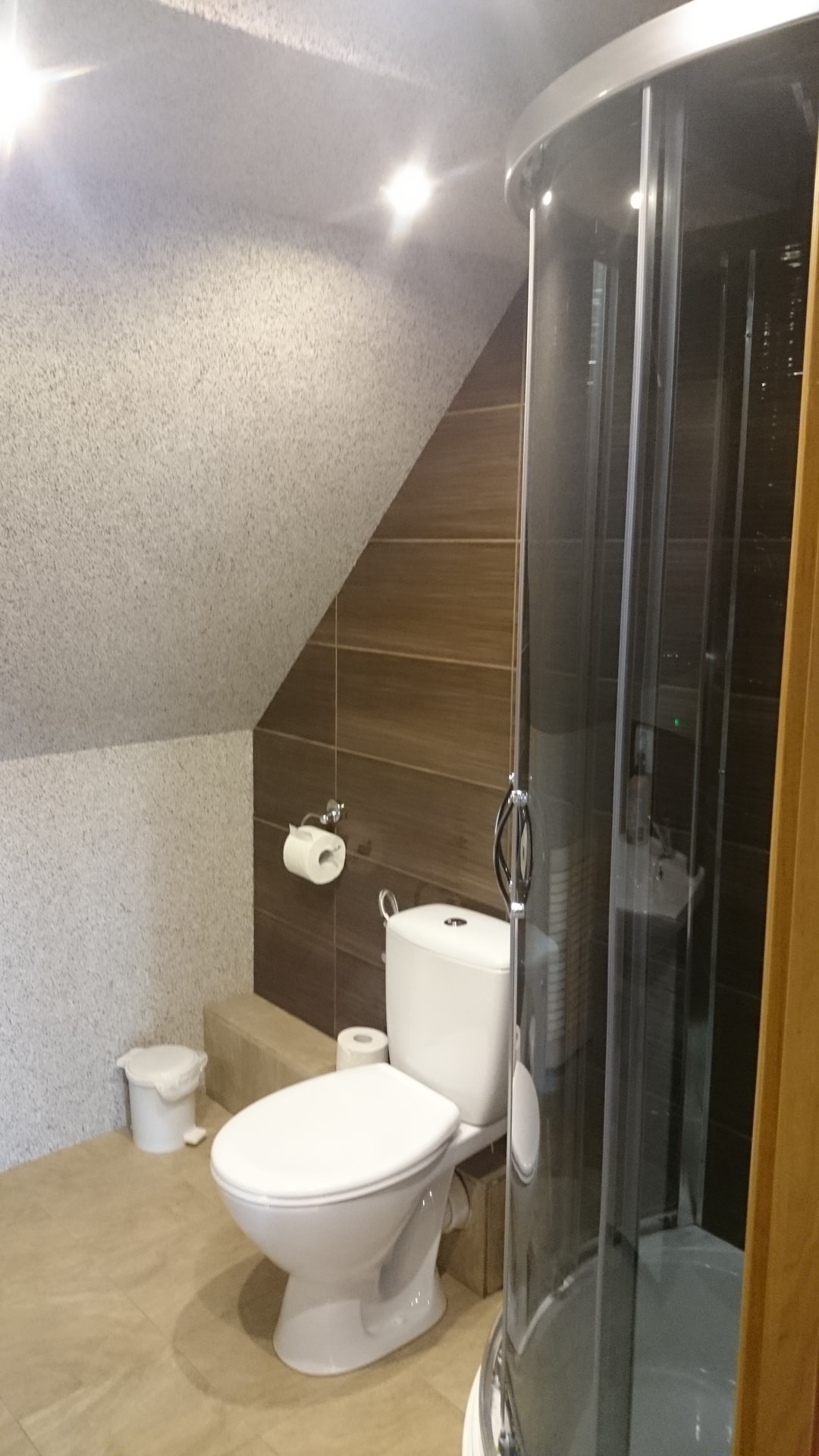 Łazienka z prysznicem i toaletą w Apartamencie nr 3